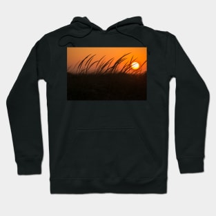 setting sun Hoodie